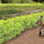The 2 Best Rabbit Fences for Gardens Rabbit Guard Fence and Yardgard Rabbit Fence