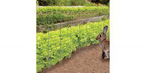2 najlepsze ogrodzenia dla królików do ogrodów Rabbit Guard Fence i Yardgard Rabbit Fence