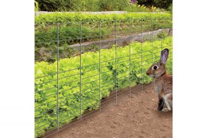 The 2 Best Rabbit Fences for Gardens Rabbit Guard Fence and Yardgard Rabbit Fence